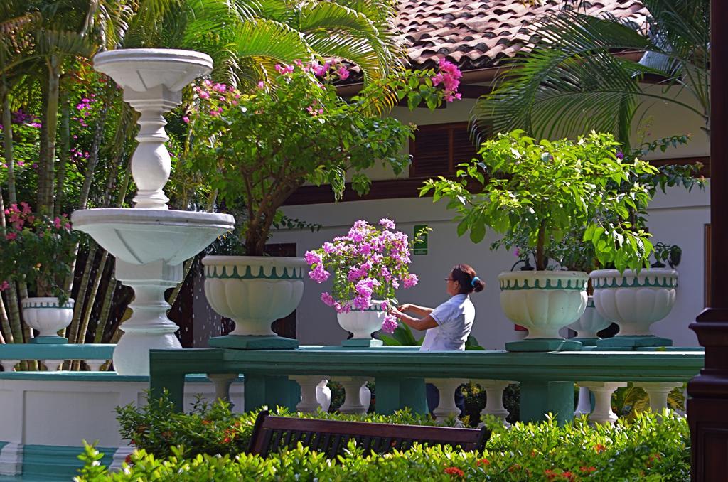 Hotel Dario גרנאדה מראה חיצוני תמונה